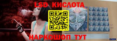 крисы Нальчик