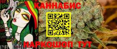 крисы Нальчик